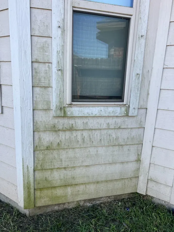 Before — Soft Washing